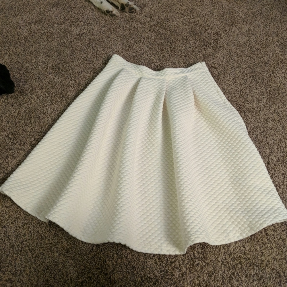 Beautiful knee-length full skirt